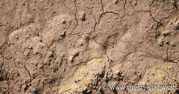 Siccità, CdM delibera stato d'emergenza per Friuli Venezia Giulia - Trieste News