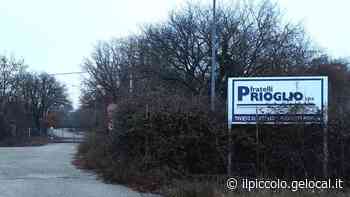 Addio a Luciano Prioglio, decano degli spedizionieri - Il Piccolo