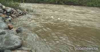 Kelowna, B.C. residents monitoring water levels on Mission Creek after heavy rain - Global News