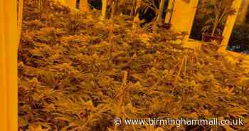 Hundreds of cannabis plants discovered inside Hobs Moat Road house in Solihull - Birmingham Live