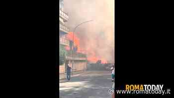 VIDEO | Fiamme vicino i palazzi, ore di fuoco a Roma nord ovest