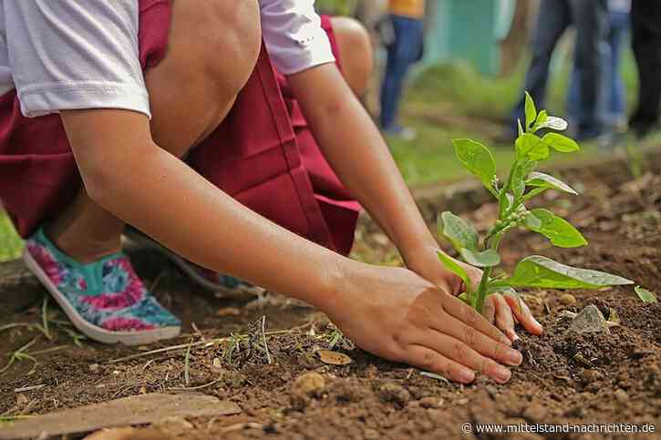 Die entspannende Wirkung des Gartens: Wie Gartenbau gegen Stress helfen kann