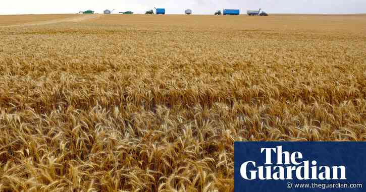 UK trade deal with Australia amounts to ‘offshoring’ pesticide use, MPs say