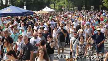 Silea, la Restera è di nuovo 'N' Fest: musica, eventi e pesce azzurro - La Tribuna di Treviso