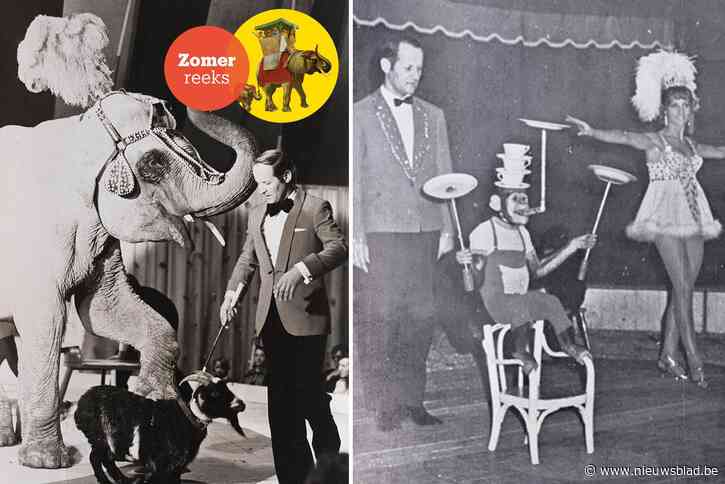 Hij kon concurreren met de grote Europese circussen, toch hield Harry Malter het na 6 jaar al voor bekeken: “Het is slavenarbeid”