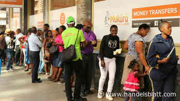 Geldpolitik: Simbabwe will mit Verkauf von Goldmünzen Währungskrise abfedern