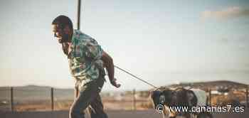 El Gobierno de Canarias destina 1,8 millones de euros para producciones de cine y televisión - Canarias7