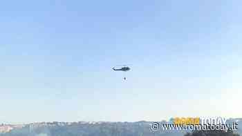 Incendio al parco del Pineto, indaga la procura. Data assistenza a 93 persone