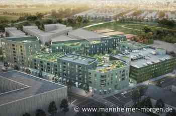 Grundsteinlegung für neues Quartier auf Spinelli - Mannheimer Morgen