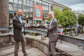 BUGA Mannheim 2023: „Hektar für den Nektar“ - Beschaffungsdienst GaLaBau