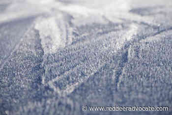 Frost advisory in effect for Red Deer, Central Alberta – Red Deer Advocate - Red Deer Advocate