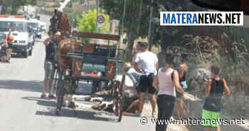 Matera: "Quanti cavalli dovranno morire prima che si possa iniziare seriamente a mettere un freno a queste attività?". La richiesta - Matera News