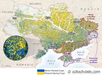 Russia-Ukraine Conflict: Measuring War’s Effect on a Global Breadbasket