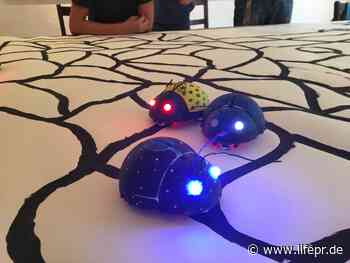 Langeweile, nein danke!? Tüfteln und programmieren in den Sommerferien - in Schwedt/Oder, Templin oder Prenzlau - lifePR