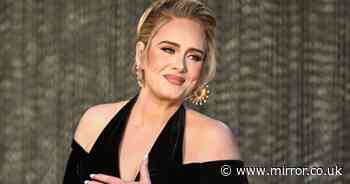 Adele fans go wild as savage unreleased track about past lover leaked online - The Mirror