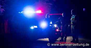 Drei tote Kinder und Mutter in See entdeckt – Polizei vermutet Verbrechen - Berliner Zeitung