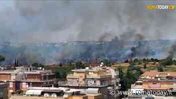 Incendio al parco del Pineto, RomaNatura: “Comune e Regione ci devono aiutare”