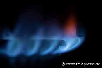 Privater Investor will LNG-Import vorantreiben - freiepresse.de