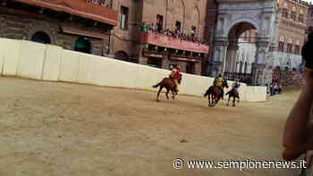 Siena. Schietta, Volpino e Zentile: i tre cavalli stanno bene - Sempione News