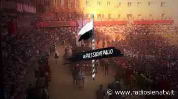 Parte #PassionePalio: tutte le emozioni del Palio su Siena Tv - RadioSienaTv