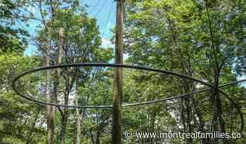 Mont Sutton opens new attraction - montrealfamilies.ca