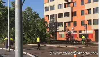 VÍDEO | Tráfico condicionado a la salida de Zamora: te contamos el motivo - Zamora 24 Horas