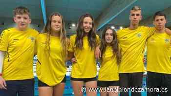 El Natación Zamora, 11 medallas y “top 10” del Campeonato de Castilla y León Infantil de Verano - La Opinión de Zamora