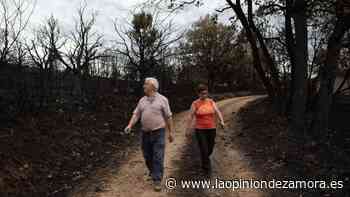 Arde Zamora y nadie llora - La Opinión de Zamora