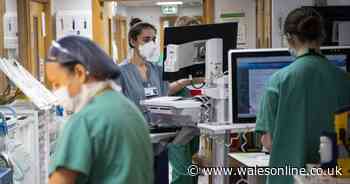 Rising coronavirus cases sees thousands of NHS staff in Wales off work - Wales Online