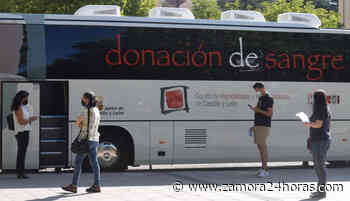 Llamamiento urgente a la donación de sangre en Zamora: "Se acercan días críticos" - Zamora 24 Horas