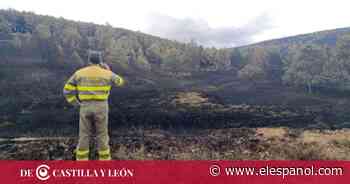 Funcionarios de la Delegación Territorial de Zamora desvelan "las carencias" del operativo contra incendios de Zamora - EL ESPAÑOL