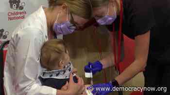 FDA Wants Reformulated Vaccines to Combat New Coronavirus Lineages - Democracy Now!