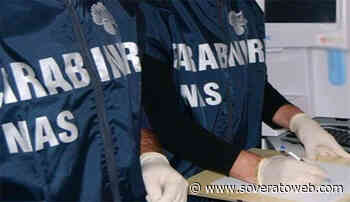 Furto e ricettazione di farmaci, 14 arresti tra Catanzaro e Cosenza - Soverato Web