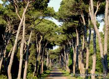 PISA - Transizione ecologica e parchi, sabato dibattito con il sottosegretario Fontana - Toscana News - Toscana News