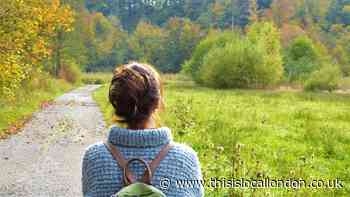 New bereavement support service launched in Epping Forest
