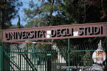 Università di Palermo, troppe irregolarità: il rettore nomina “Comitato dei Garanti” - LiveuniPA