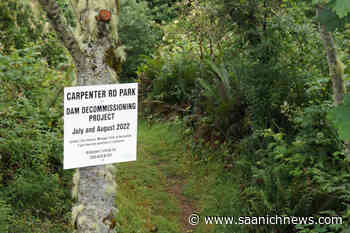 Otter Point dam demolition draws criticism – Saanich News - Saanich News