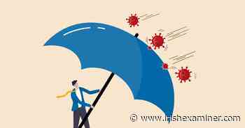 Niamh Griffin: Omicron is a 'stealthy immune invader' - Irish Examiner