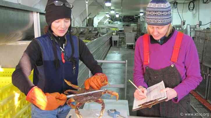 Southeast’s Dungeness crab fishery to close early after slow start