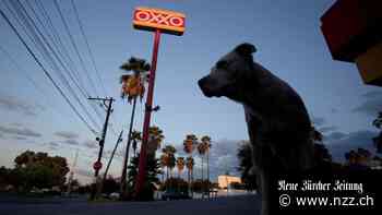 In Lateinamerika schon ein Gigant, jetzt auch hier bekannt: Was Sie zu Femsa wissen müssen
