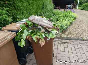 Landkreis kontrolliert Bioabfall in Stade und Agathenburg - Mülltonnen bleiben stehen - TAGEBLATT: Nachrichten aus Stade, Buxtehude und der Region - Tageblatt-online