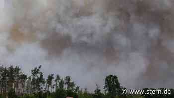 Hitzefolgen: Waldbrände im Kreis Ludwigslust-Parchim gelöscht - STERN.de