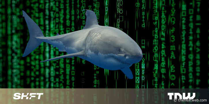 How tech can help prevent shark bites and keep beaches open this summer