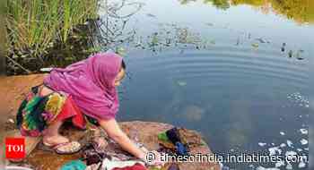 Gujarat: 'Stay alert while washing clothes in rivers' - Times of India