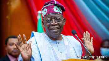 Tinubu: Afenifere urges South-West unity, synergy with other zones - Punch Newspapers
