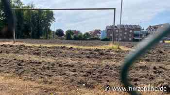 Sportplatz in Leer: Pflanzengift-Verdacht auf Kicker-Platz – Ermittlungen gehen weiter - Nordwest-Zeitung