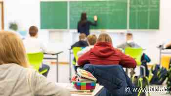 Philologen-Chef kritisiert die GroKo: Zu viele Lehrerstellen leer! - BILD