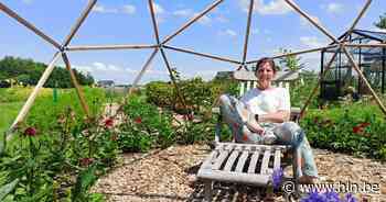 Leen opent bloemenparadijs 'Plukpolder' in haar achtertuin | Assenede | hln.be - Het Laatste Nieuws