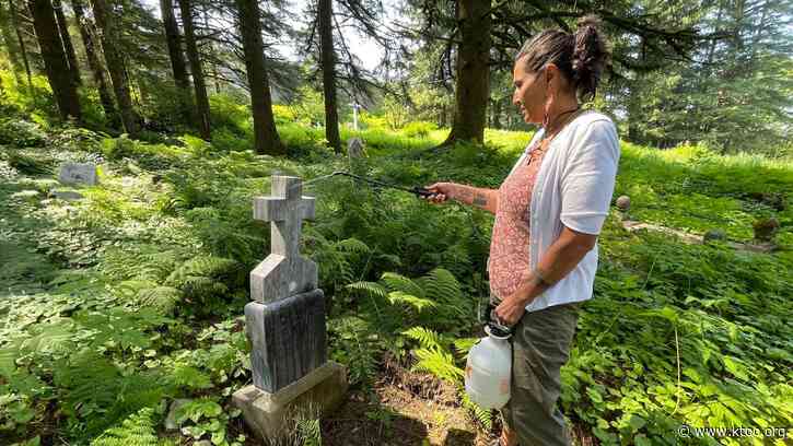 Neglected and forgotten: Volunteers work to restore Native gravesites in Juneau