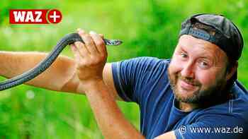 Ferien in Hattingen mit Schlangen-, Fossilien- und Goldsuche - WAZ News